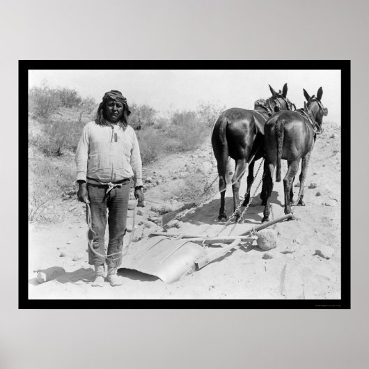 Poster Lait à trait mule et indienne 1920 (Devant)