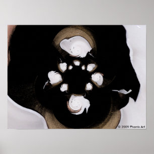Poster Lait de Coco