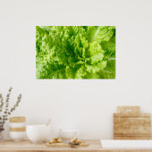 Poster Laitue (Cuisine)