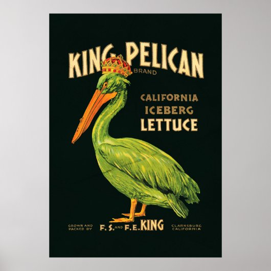 Poster Laitue iceberg King Pelican (Devant)
