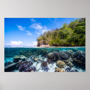 Poster Laja Ampat Sous-marin 2