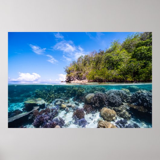 Poster Laja Ampat Sous-marin 2 (Devant)