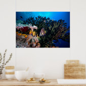 Poster Laja Ampat Sous-marin 4 (Cuisine)