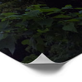 Poster Lake Atitlan Volcanoes (Coin)