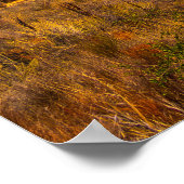 Poster Lake Cachuma Panorama Santa Ynez Mountain Photo (Coin)