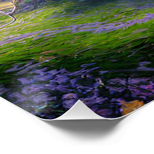 Poster Lake House (Coin)