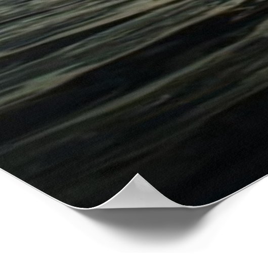 Poster Lake Murray (Coin)