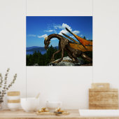 Poster Lake View (Cuisine)