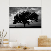 Poster Lakefront Live Oak (Cuisine)