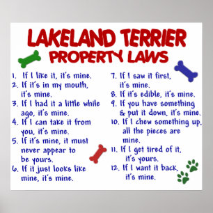 POSTER LAKELAND TERRIER PL2