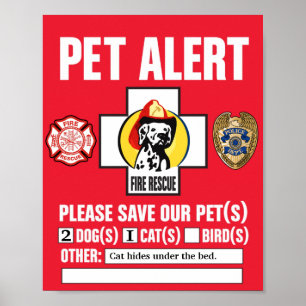 Poster L'alerte de secours d'animal familier secourent
