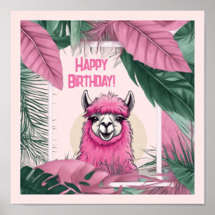 Poster Lama rose souriant heureux