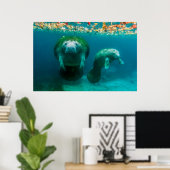 Poster Lamantin mère avec son veau à Crystal River (Bureau à domicile)