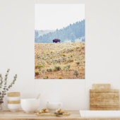 Poster Lamar (Cuisine)