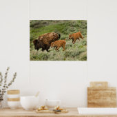 Poster Lamar Valley Mini Stampede (Cuisine)