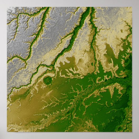 Poster L'Amazonie bolivienne (Devant)