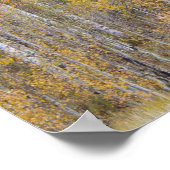 Poster Lambert Hollow, peupliers (Coin)