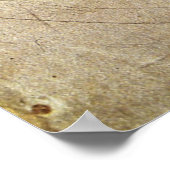 Poster L'âme damnée par Michel-Ange (Coin)