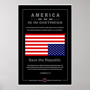 Poster L'Amérique en détresse