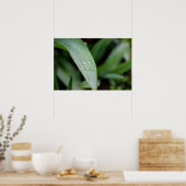 Poster Lames de laiton couvertes de pluie (Cuisine)