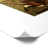 Poster L'Ami De Cactus Par Carl Spitzweg (Coin)