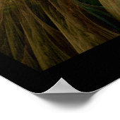 Poster L'Ammonite d'Arachne (Coin)