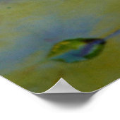 Poster L'amour dans une lys d'eau (Coin)