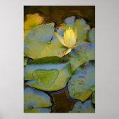 Poster L'amour dans une lys d'eau (Devant)