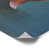 Poster L'amour de la jeune Guinée (Coin)