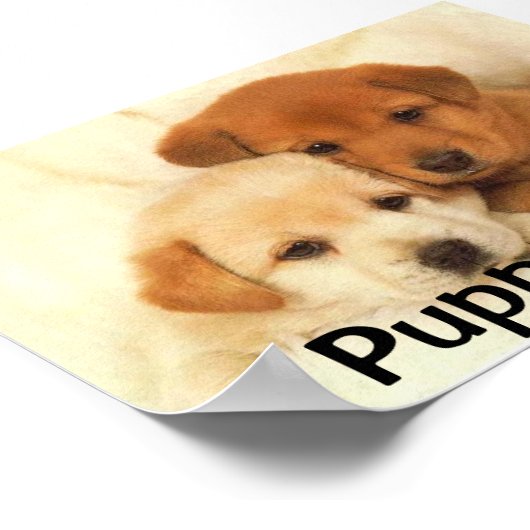 Poster L'amour des chiots (Coin)