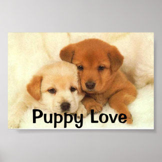 Poster L'amour des chiots