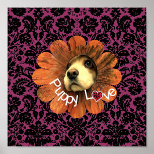 Poster L'amour des chiots