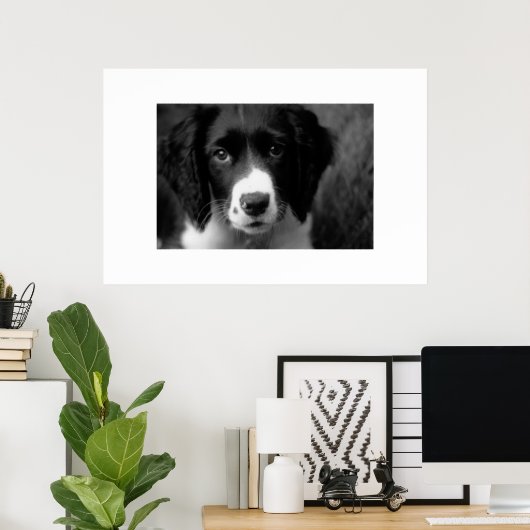 Poster L'amour des chiots (Bureau à domicile)