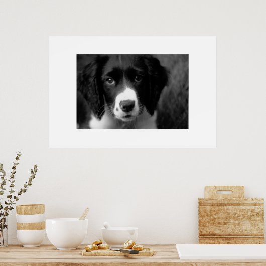 Poster L'amour des chiots (Cuisine)