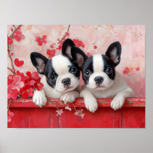 Poster L'amour des chiots