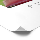 Poster L'amour des chiots (Coin)