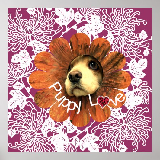 Poster L'amour des chiots (Devant)