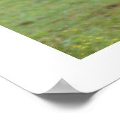 Poster L'amour des soeurs (Coin)