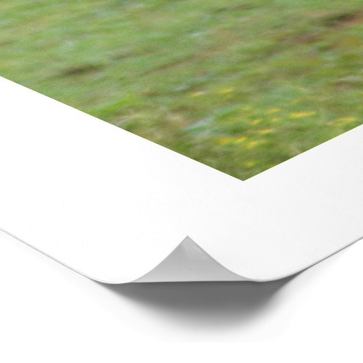 Poster L'amour des soeurs (Coin)