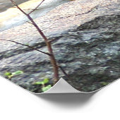 Poster L'Amour Du Tigre Et Du Cube (Coin)