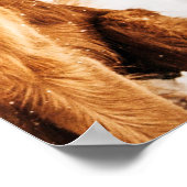 Poster L'amour d'un chien par Laura Jaworski (Coin)