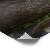 Poster L'amour d'une mère (Coin)