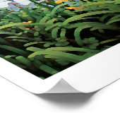 Poster L'amour est à la source (Coin)