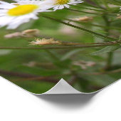 Poster L'amour est beau (Coin)