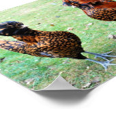 Poster L'amour est dans l'air (Coin)