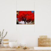 Poster L'amour est dans l'air (Cuisine)