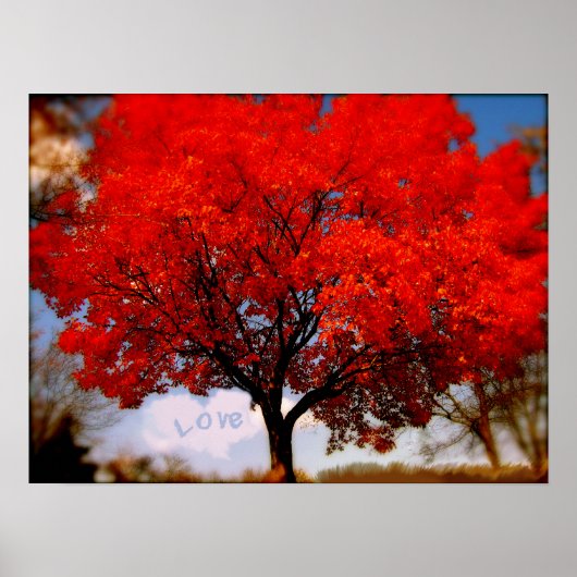 Poster L'amour est dans l'air (Devant)