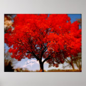 Poster L'amour est dans l'air (Devant)