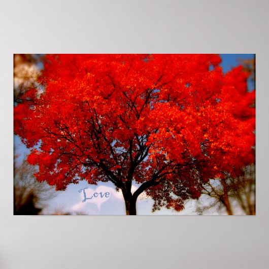 Poster L'amour est dans l'air (Devant)