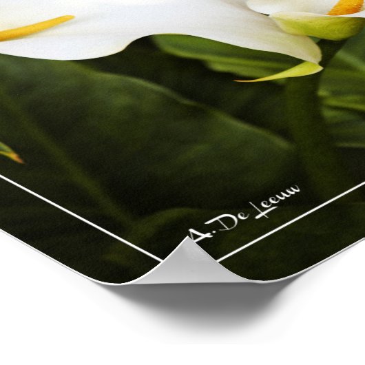 Poster L'amour est la seule fleur (Coin)